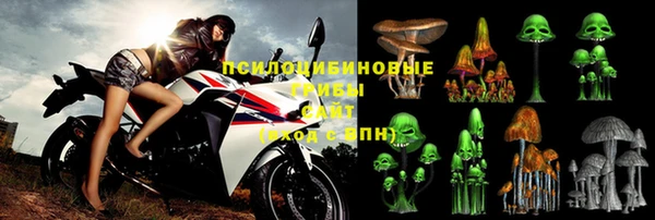 ECSTASY Покачи