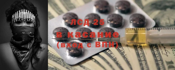 ECSTASY Покачи