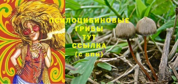 ECSTASY Покачи